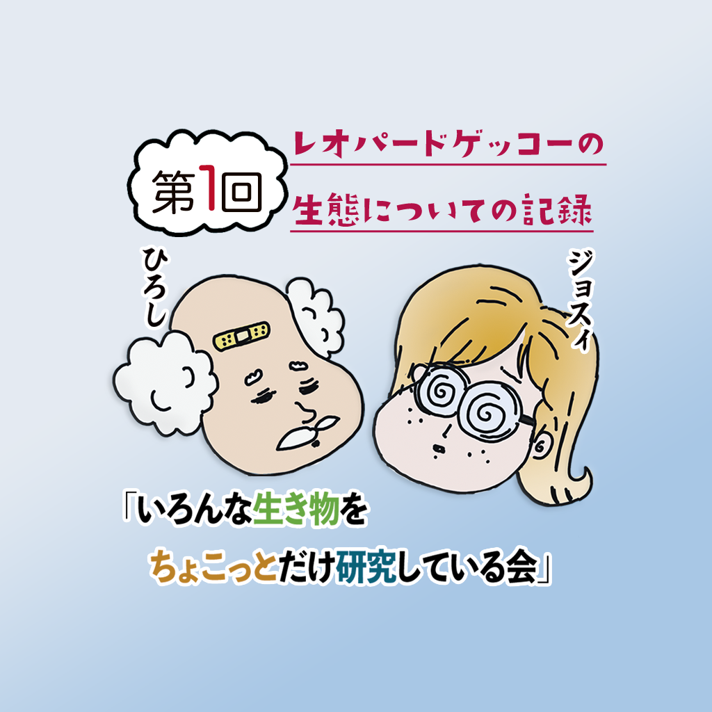 第一回レオパードゲッコーの生態についての記録