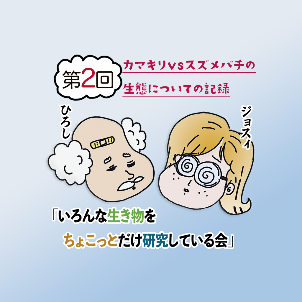 第二回 カマキリVSスズメバチの生態についての記録