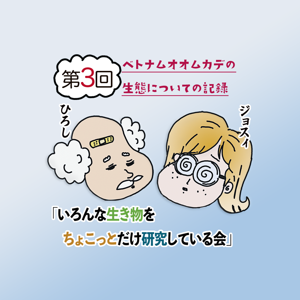 第三回 ベトナムオオムカデの生態についての記録