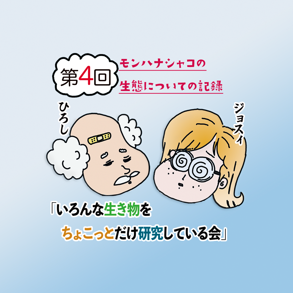 第四回 モンハナシャコの生態についての記録