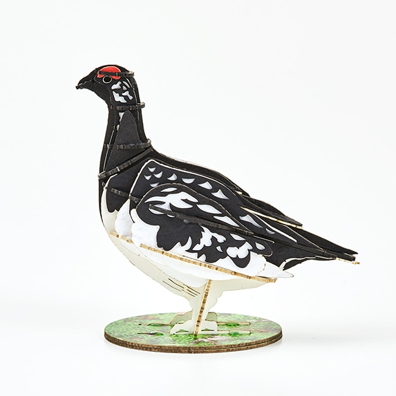 野鳥シリーズ ライチョウ-夏 Grouse-Summer | 野鳥シリーズ/Bird