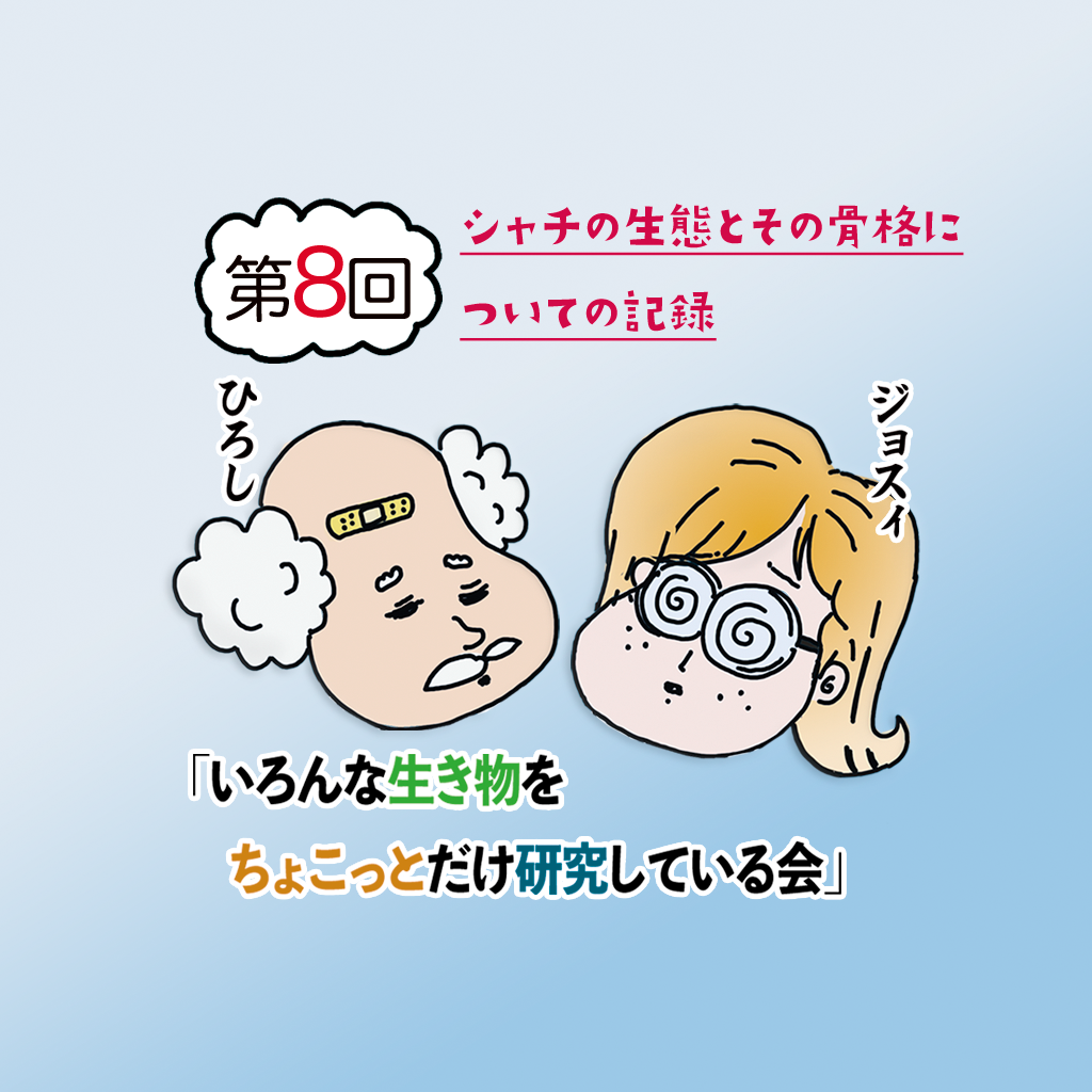 第八回 シャチの生態とその骨格についての記録